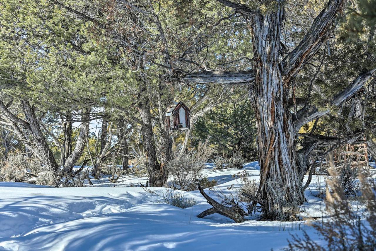 Eagles Landing A Quiet Colorado Mountain Escape Villa Exteriör bild